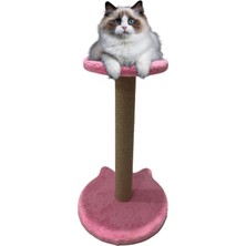 Özbience Oturaklı Kedi Tırmalama Tahtası, 54 Cm, Keyifli ve Güvenli Tırmalama Keyfi