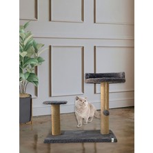 Özbience Dayanıklı Kedi Tırmalama ve Dinlenme Ağacı, Eğlence ve Konfor Sunar