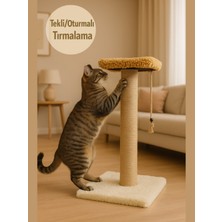 Özbience Soft Renklerde 44 cm Tek Adımlı Kedi Tırmalama Tahtası