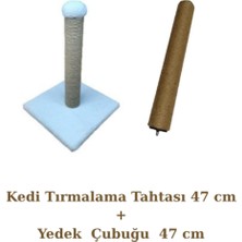 Özbience Halı ve Kedi Tırmalama Tahtası Seti, 47 Cm, Yedek Çubuk ile Keyifli Kullanım