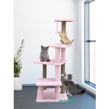 Özbience Çok Katlı Uzun Boy Kedi Tırmalama Tahtası ve Koltuk Koruyucu