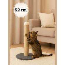 Özbience Yetişkin ve Yavru Kediler Için 52 cm Yuvarlak Tırmalama Tahtası, Welsoft Kumaş