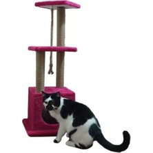 Özbience Renkli ve Eğlenceli Kedi Tırmalama Evi ve Oyun Platformu