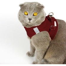 Özbience Yumuşak Süet Bordo Kedi Gezdirme ve Göğüs Tasma Seti