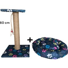 Özbience Kedi Tırmalama ve Yatak Seti, Rahat ve Eğlenceli Kombinasyon