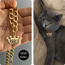 Özbience Şık ve Dayanıklı Paslanmaz Metal Kedi Tasması, Güvenle Kullanım Için Ideal