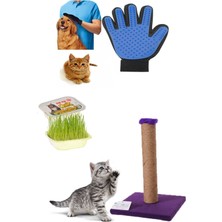 Özbience Sağlıklı ve Keyifli Kedi Bakımı Için Ideal Bakım Seti