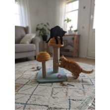 Özbience Kedi Tırmalama Düşük Yükseklikli Daire Sağlıklı ve Güvenli Tırmalama Keyfi