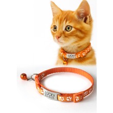 Özbience Dayanıklı Kedi Tasması Metal Isimlikli ve Telefon Numarası Yazılı