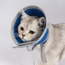 Özbience Kedi Koruyucu Yakalık, Ameliyat ve Tırnak Kesme Boyunluğu, Güvenle Kullanım