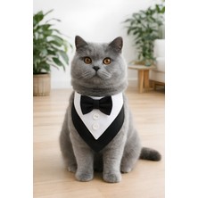 Özbience Şık ve Şirin Kedi Smokin Fular ile Stilinizi Tamamlayın