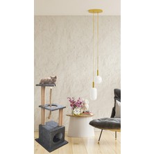 Özbience Renkli ve Eğlenceli Kedi Tırmalama Oyuncağı ve Evi Seti
