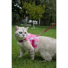 Özbience Kedi ve Küçük Irk Köpekler Için Rahat Gezdirme Tasması Seti
