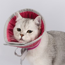 Özbience Kedi Koruyucu Yakalık, Ameliyat ve Tırnak Kesimi Koruma Boyunluğu