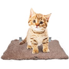 Özbience Kedi Peluş Basamağı Seti, Duvar Parkuru, Renkli ve Konforlu 3’lü Paket