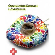 Özbience Kedi ve Köpek Boyunluğu, Operasyon Sonrası Koruma, Yalama ve Tırmalamayı Önler