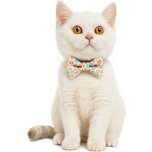 Özbience Renkli Leopar Desenli 3'ü 1 Arada Kedi Tasması ve Papyonlu Kurdeleli Tasma