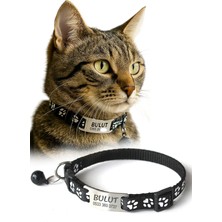 Özbience Dayanıklı Metal Kedi Tasması, Isimlik ve Telefon Numarası Yazılı