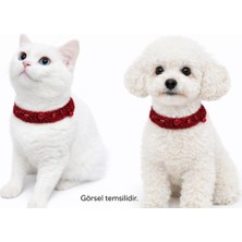 Özbience Kırmızı Pırıltılı Kedi ve Köpek Tasması Çanlı Renkli Tasarım