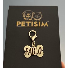 Özbience Paslanmaz Kedi Tasması ve Kimliği, Dayanıklı ve Şık Tasarım