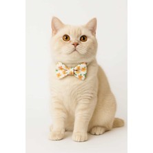 Özbience Renkli 3'ü 1 Arada Kedi Tasması Seti, Papyon ve Kurdele Detayları