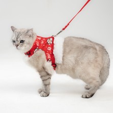 Özbience Kedi ve Küçük Irk Köpekler Için Konforlu Gezdirme Tasması Seti