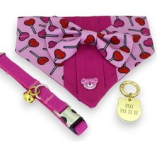 Özbience Renkli Kedi Tasması ve Fularlı Kedi Isimliği, Kişiye Özel Tasarım