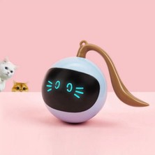 Özbience Otomatik Dönen USB Şarjlı Kedi ve Köpek Oyuncağı