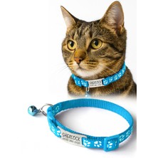 Özbience Dayanıklı Metal Kedi Tasması, Isimlik ve Telefon Numarası ile Güvenle Kullanılır