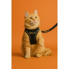 Özbience Isme Özel Güvenlikli Kedi Gezdirme Tasma Seti