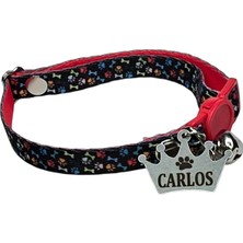 Özbience Paslanmaz Çelik Kedi Boyun Tasması, Güvenlik Kilitli ve Kuleli Tasarım