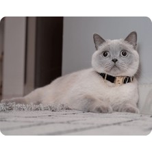 Özbience Şeffaf ve Şık Kedi Boyun Tasması, Konforlu ve Güvenli Kullanım