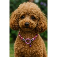 Özbience Pembe Renkli Köpek ve Kedi Için Şık Kordon Kolye