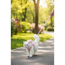 Özbience Peluş Ayıcıklı Kedi ve Köpek Göğüs Tasması Seti, Konfor ve Şıklık