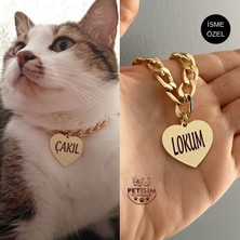 Özbience Paslanmaz Metal Zincirli Kedi Tasması ve Künye Seti