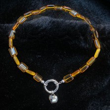 Özbience Renkli Kehribar V3 Evcil Hayvan Tasma ve Boncuk Kolye Seti