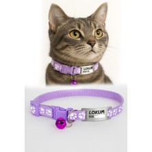 Özbience Sevimli Kedi Tasma, Şık ve Rahat Tasarım, Güvenle Takılabilir