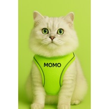 Özbience Kişiye Özel Esnek Kedi Göğüs Tasması, Rahat ve Şık Tasarım