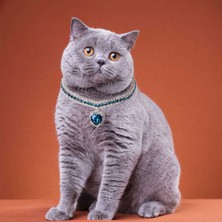 Özbience Parlak Kristal Taşlı Kalpli Köpek ve Kedi Yaka Kolyesi, Şık ve Zarif Tasarım