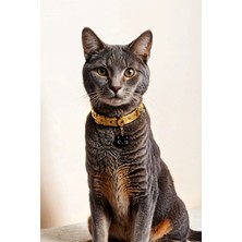 Özbience Qr Kodlu Akıllı Tasma Ucu ile Güvenli ve Keyifli Evcil Hayvan Keyfi