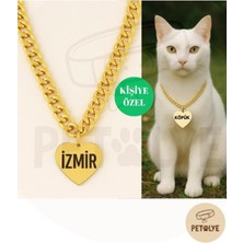 Özbience Renkli Kedi Tasması ve Isimlik, Altın Detaylı, Pleksi ve Paslanmaz Zincir