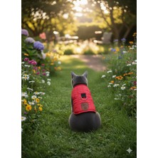 Özbience Renkli Kedi ve Küçük Irk Köpek Gezdirme Montu ve Tasması Seti