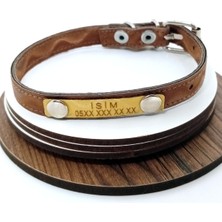 Özbience Şık ve Dayanıklı Suni Deri Tasma, Konforlu Kullanım Için Ideal Seçim