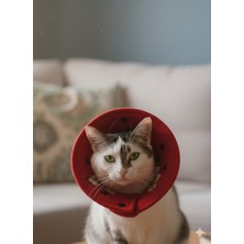 Özbience Koruyucu Yakalık, Rahat ve Güvenli Kullanım, Kaliteli Tasarım