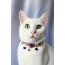 Özbience Mor Kristal Kalp Charmlı Doğal Taş Ametist Kedi ve Köpek Tasması