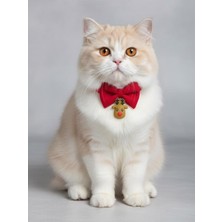 Özbience Yılbaşı Geyiği Kedi Papyon Tasması, Kırmızı Fiyonk Boyun Aksesuarı