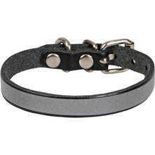 Özbience Reflektörlü Deri Kedi Boyun Tasması, Siyah, 18-22CM, Güvenli ve Şık