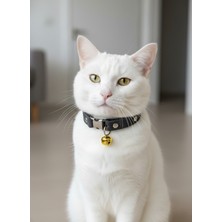 Özbience Ayarlanabilir Siyah Hakiki Deri Kedi Tasma, Şık ve Konforlu