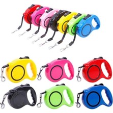 Özbience Renkli Desenli Kedi ve Küçük Köpek Gezdirme Tasması, 3 Metre