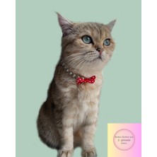 Özbience Kırmızı Papyonlu Inci Boncuklu Kedi ve Küçük Irk Köpek Tasması